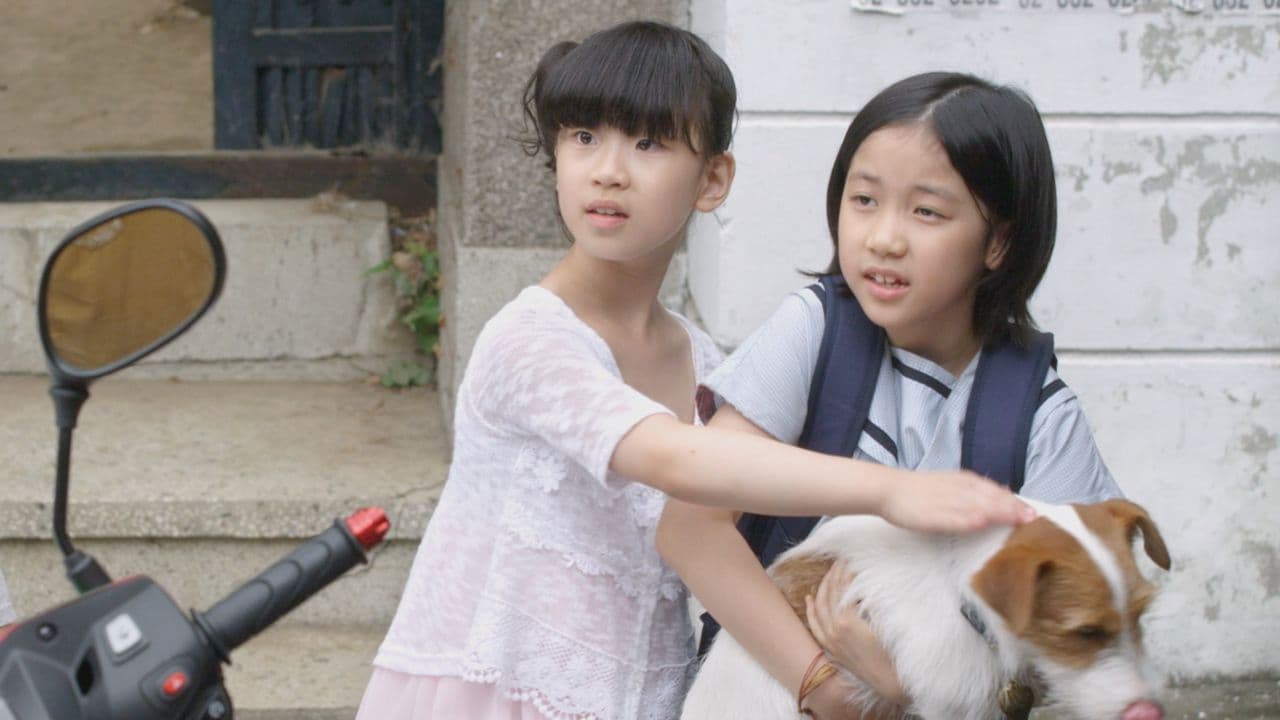 Cómo robar un perro