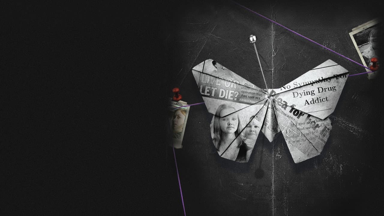 Wild Butterfly