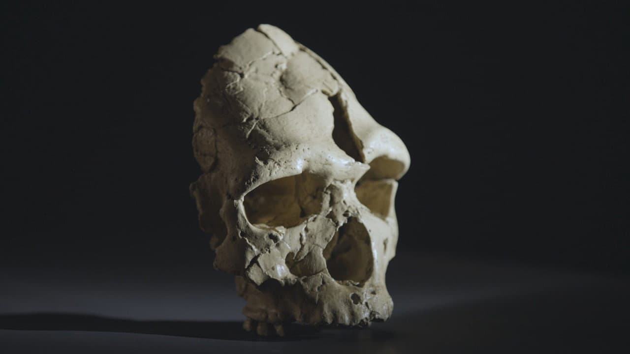 Tautavel, la vida en europa antes del hombre de neandertal