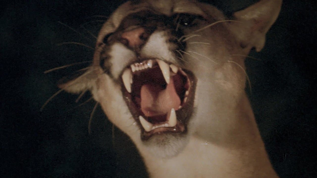 El día de los animales