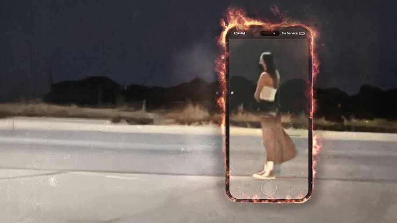 Todas. Debanhi, Una Historia de Redes