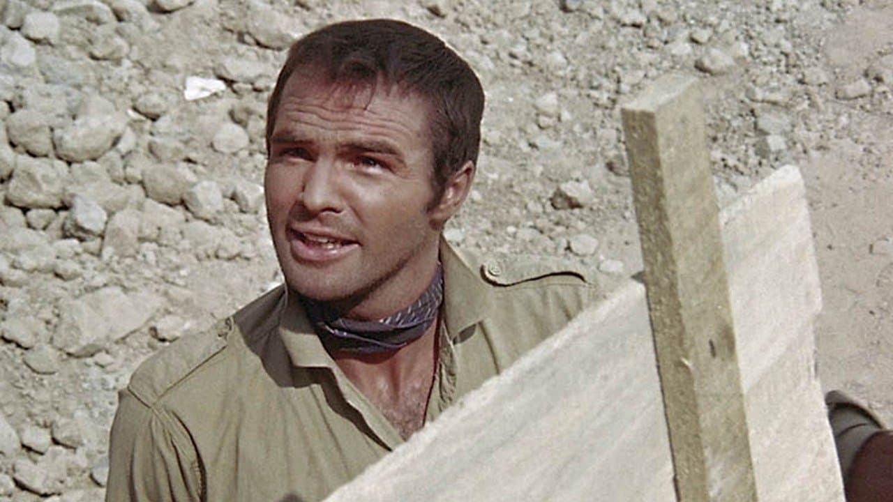 Shark! Arma de Dos Filos