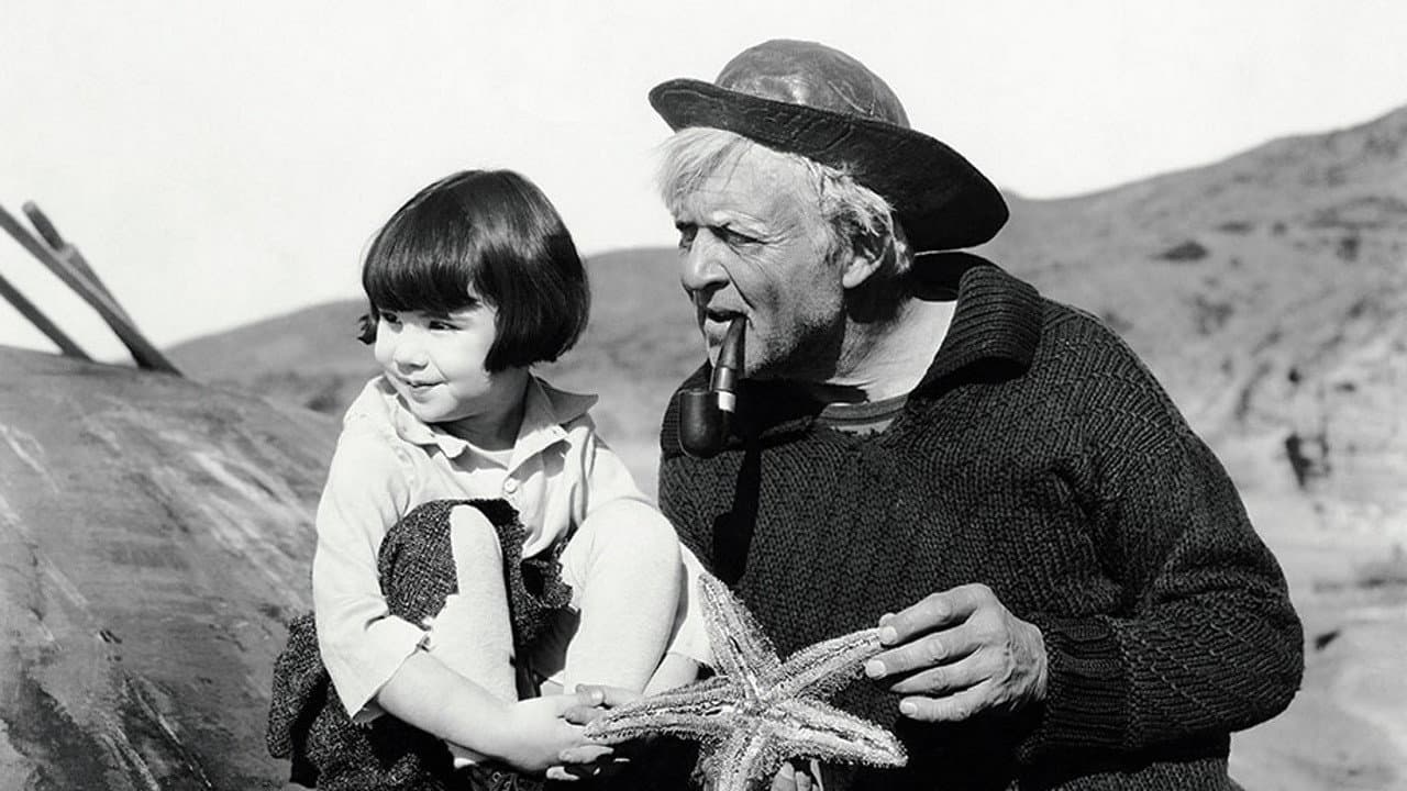 El capitán Alegría