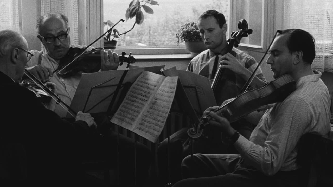 Iluminación íntima