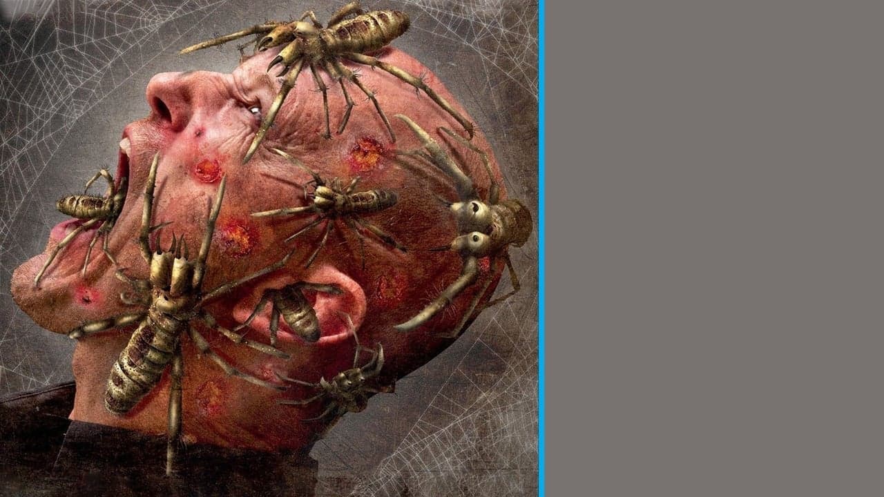 Arañas del desierto