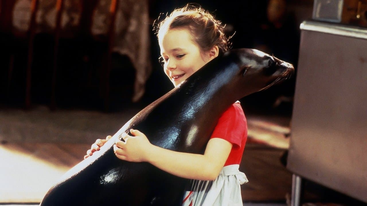 Andre, una foca en mi casa