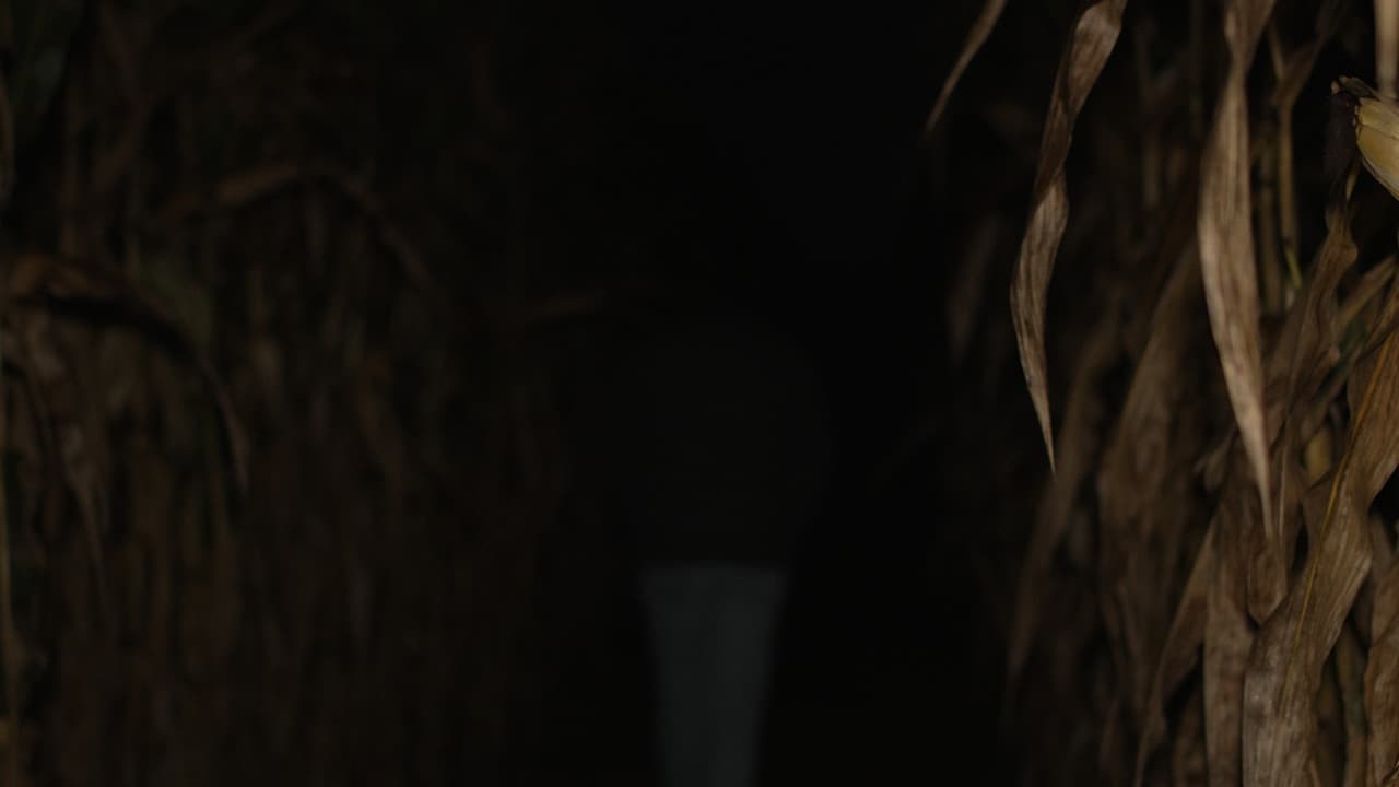2:37