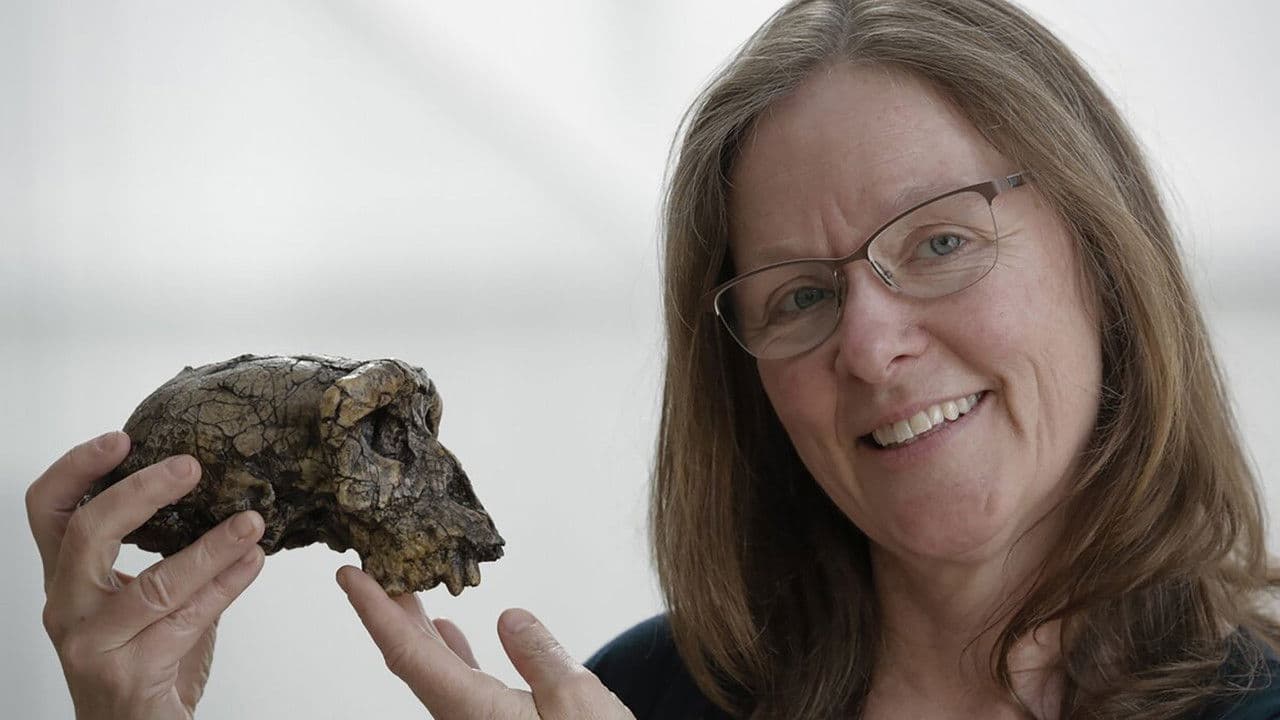 Una nueva versión de la evolución humana