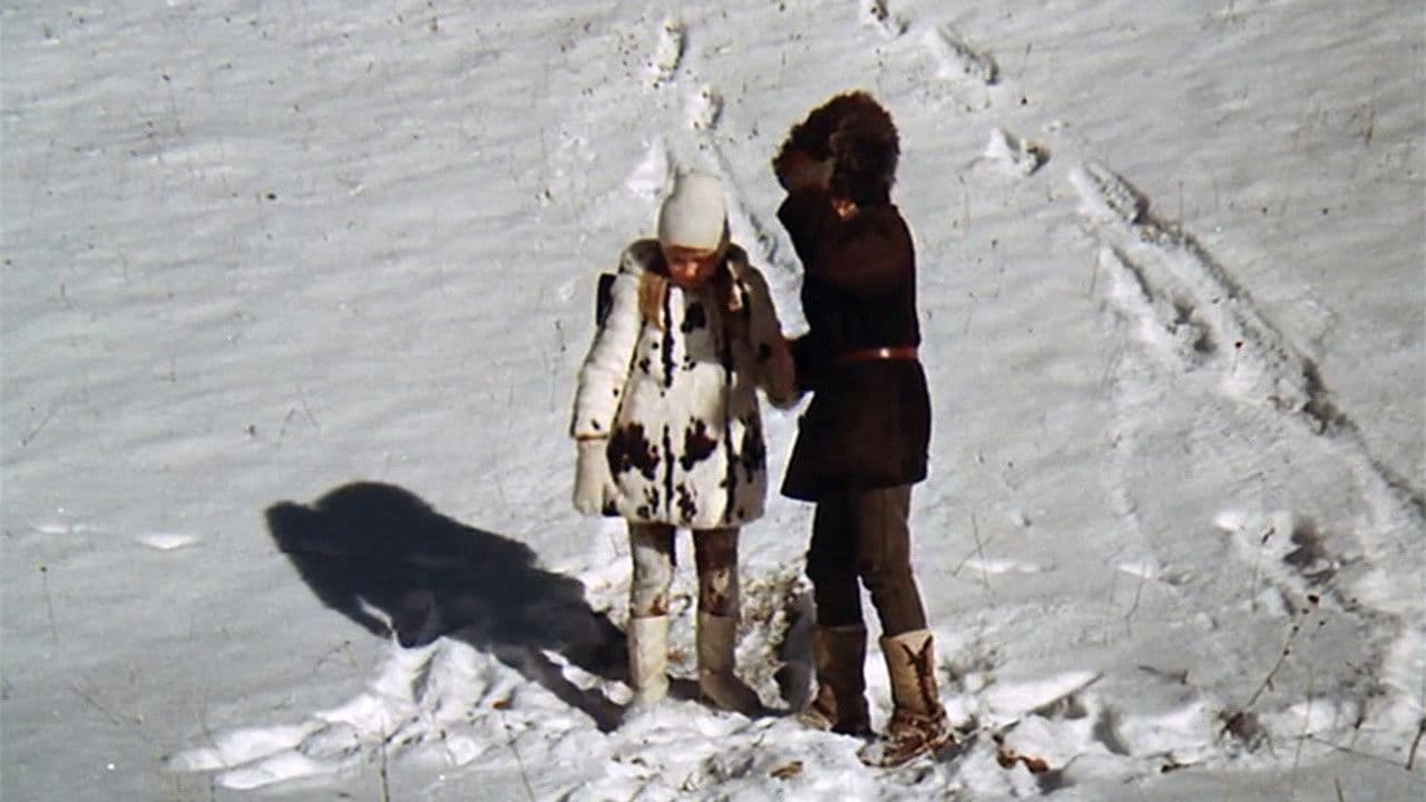 El tren de la aventura