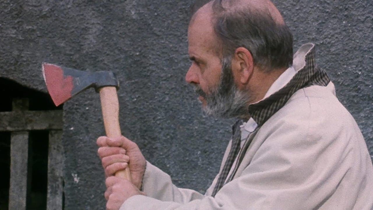 Un gato en el cerebro