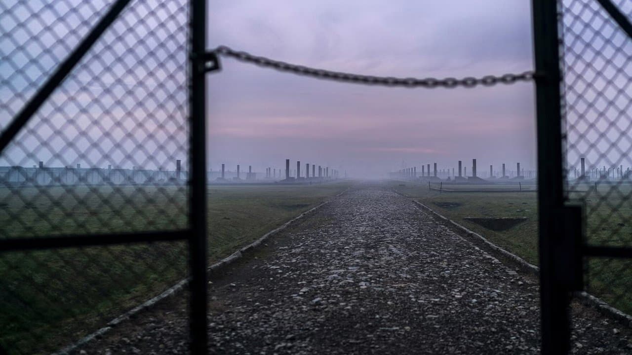 Auschwitz, cuenta atrás para la liberación