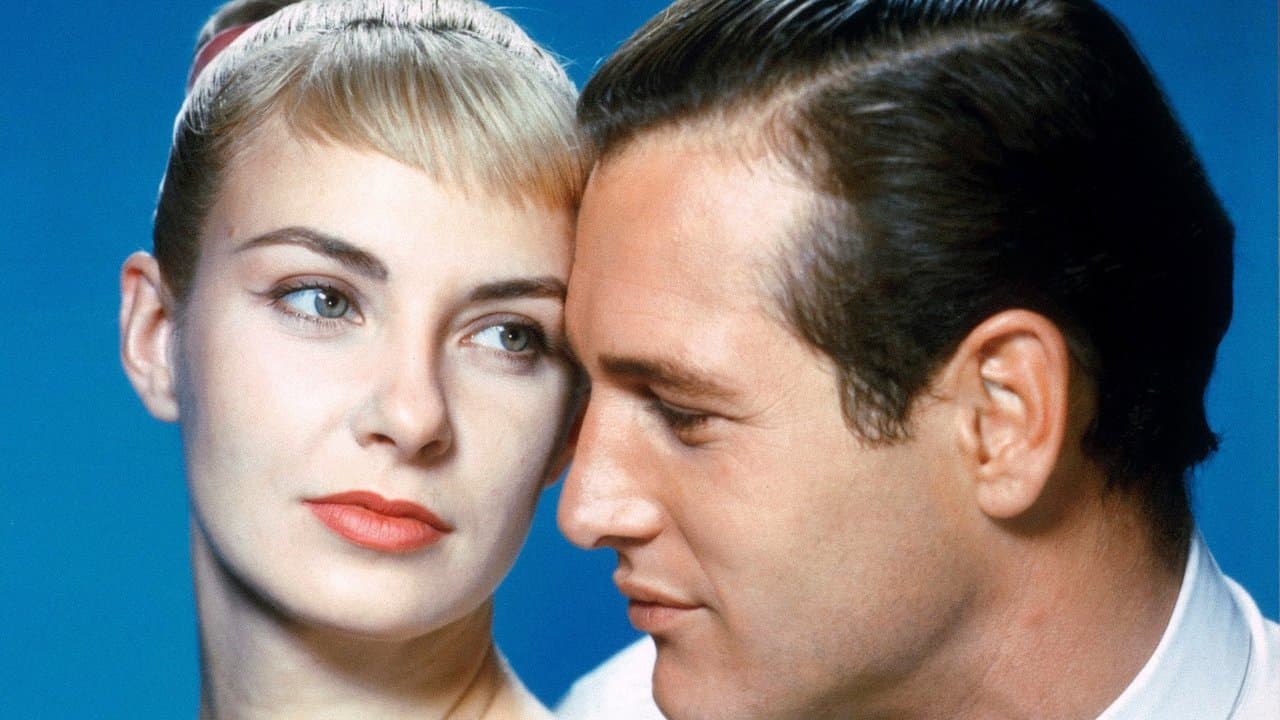 El largo y cálido verano