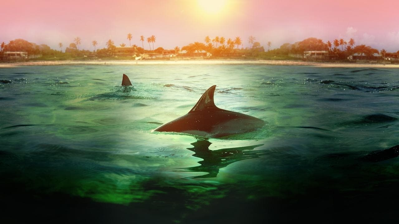 Tiburones vs delfines: batalla en las Bahamas