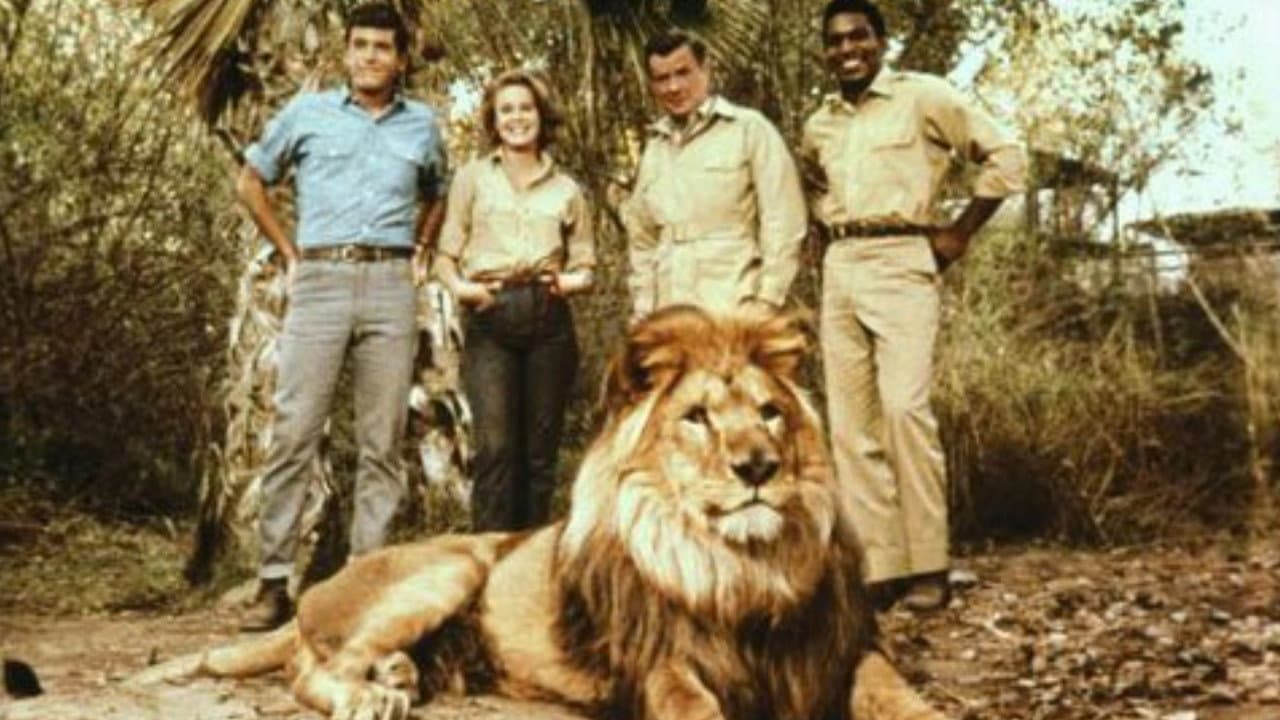 Daktari Clarence El león bizco