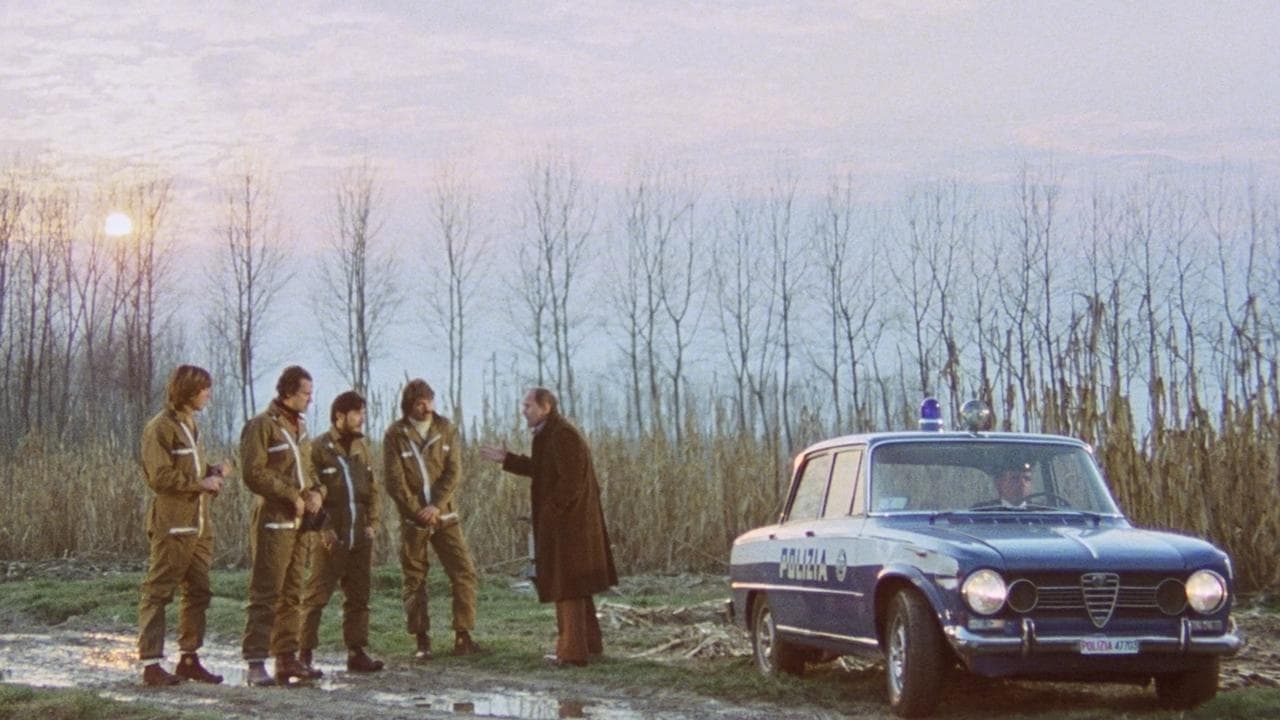 Colt 38. Escuadra especial