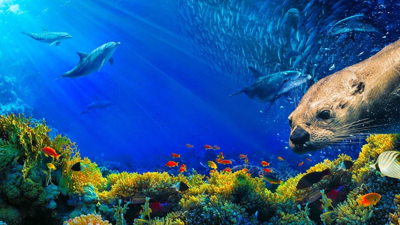 Planeta Azul: los océanos a examen