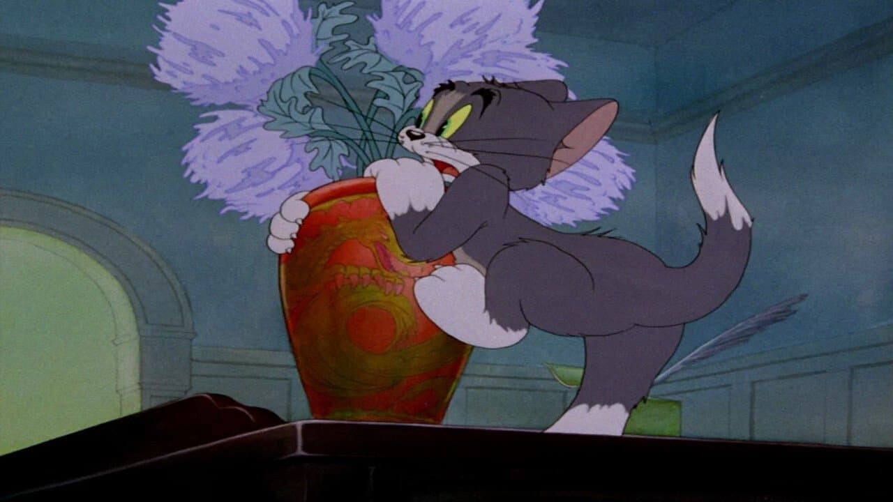 Gato nervios de punta