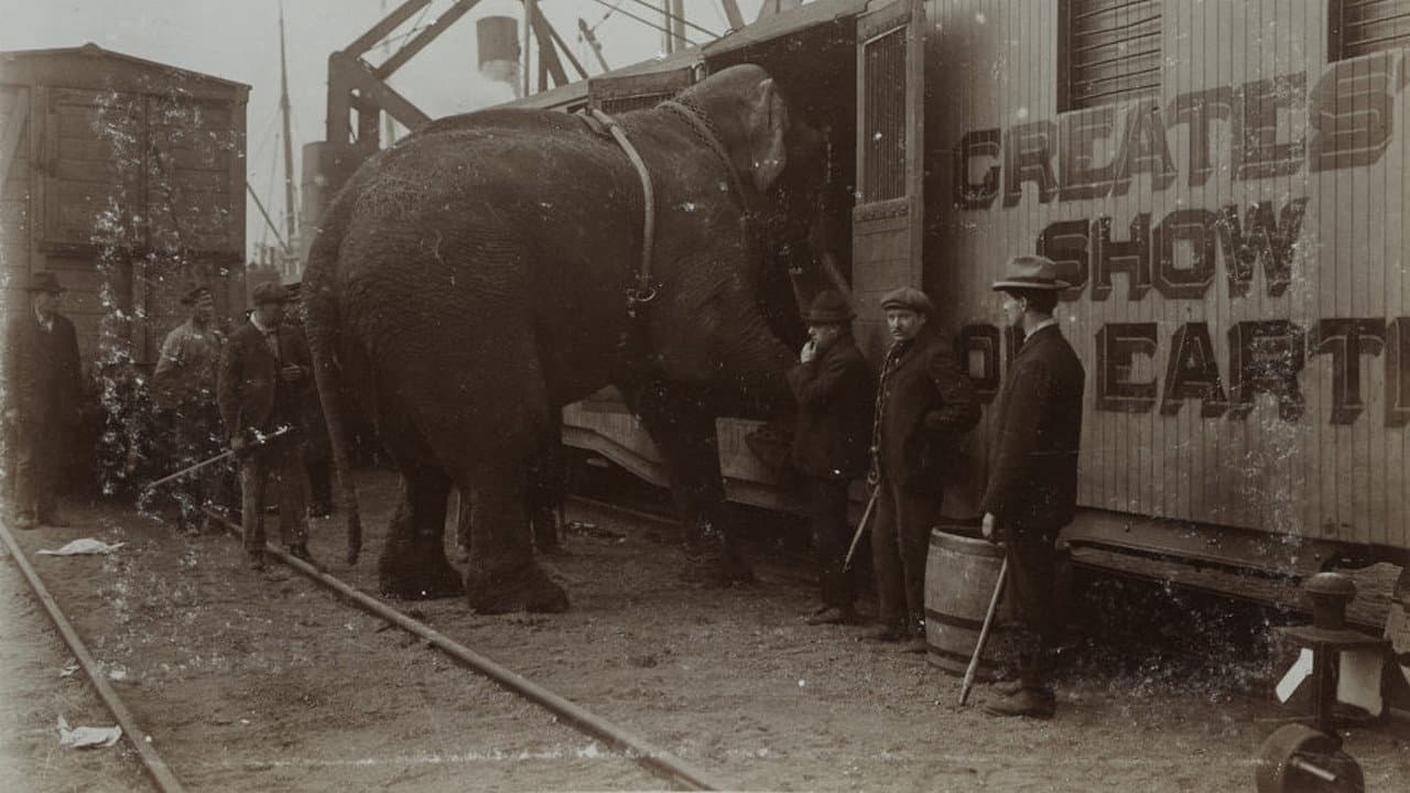 La trágica historia de Fritz el elefante