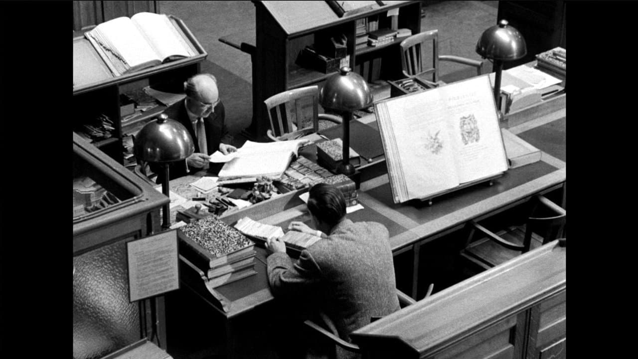 Toda la memoria del mundo