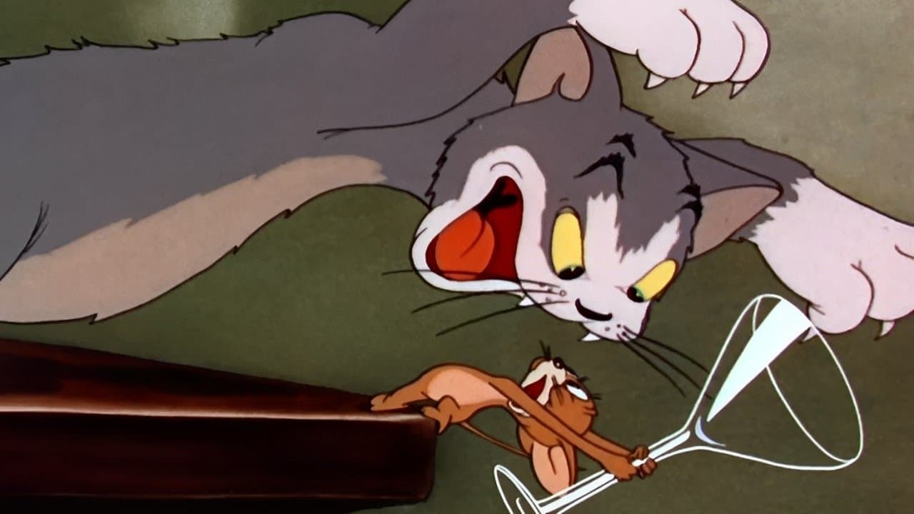 El gato se gana el zapatazo