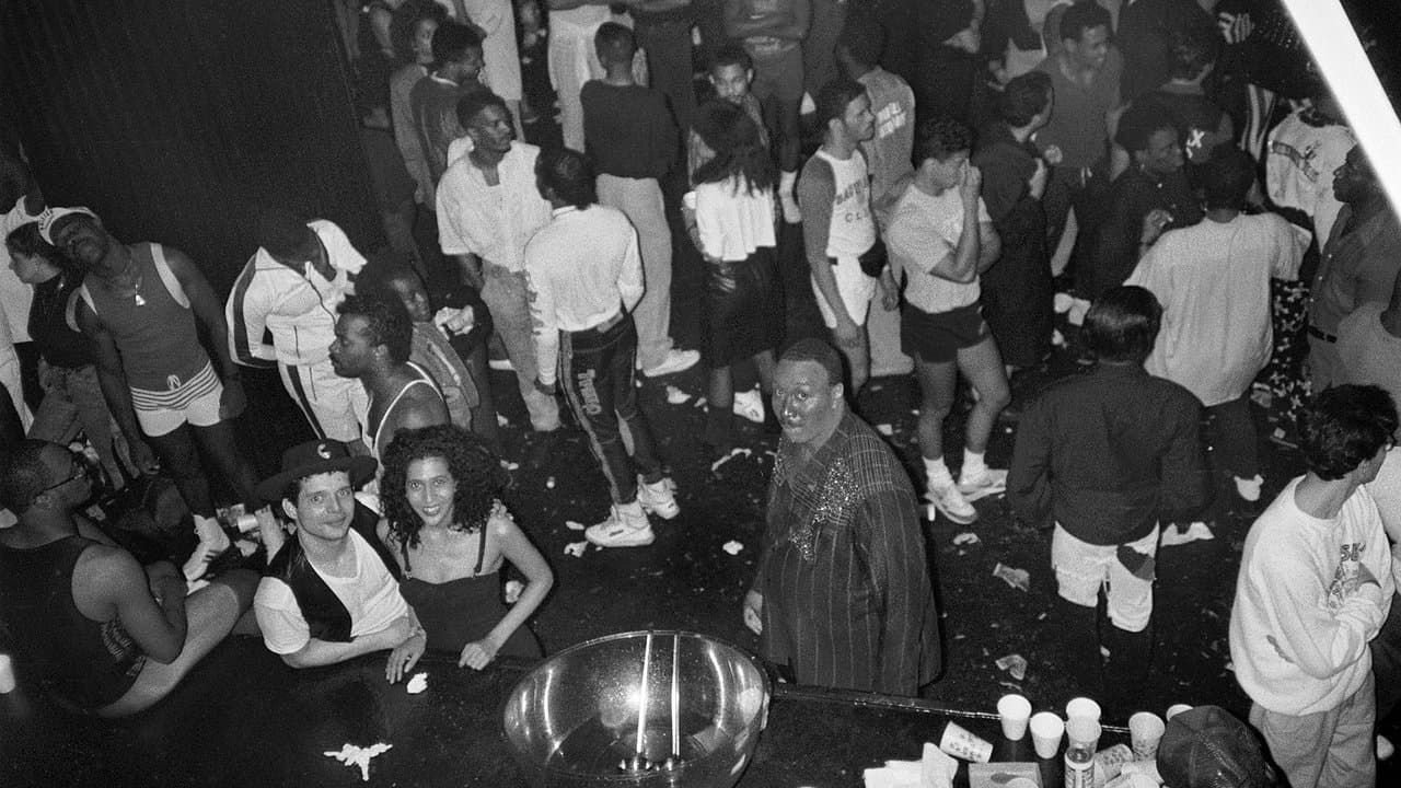 Música disco: historia de una revolución