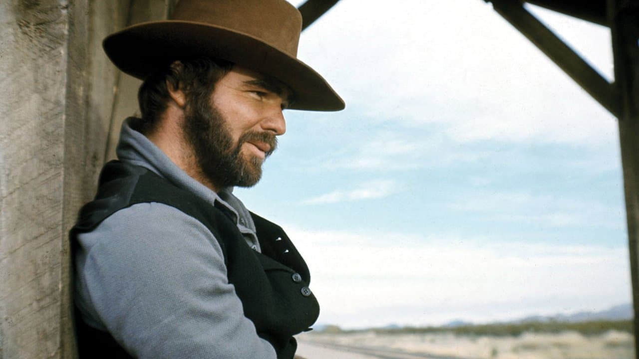 El hombre que amó a Cat Dancing