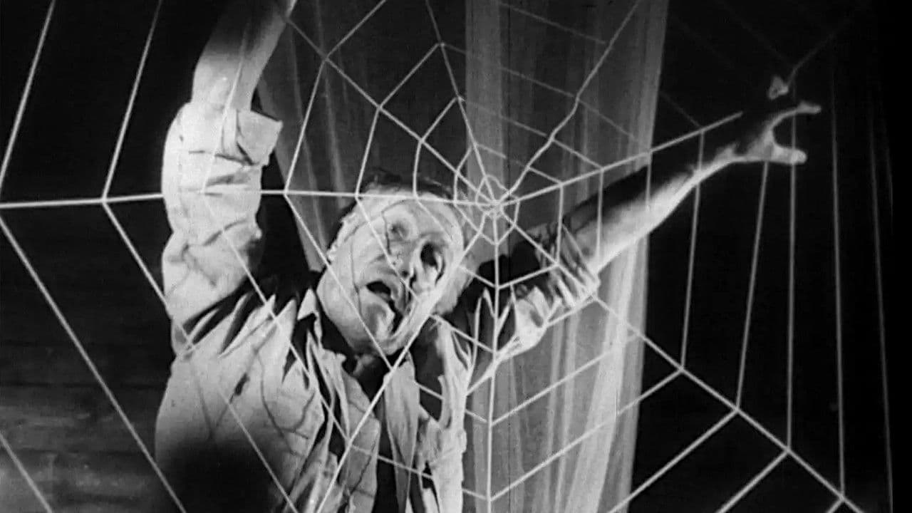 Ein Toter hing im Netz