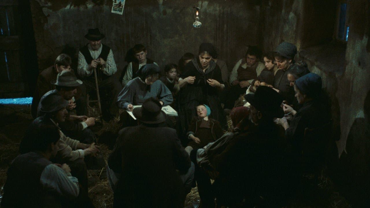 El árbol de los zuecos