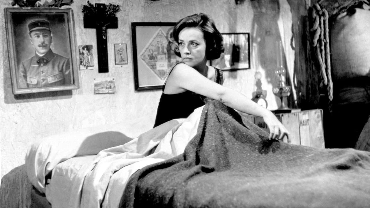 Diario de una camarera