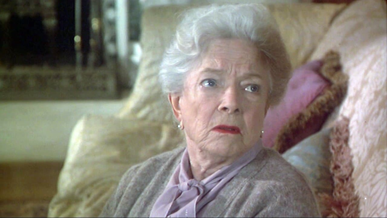 Reflejos en la noche