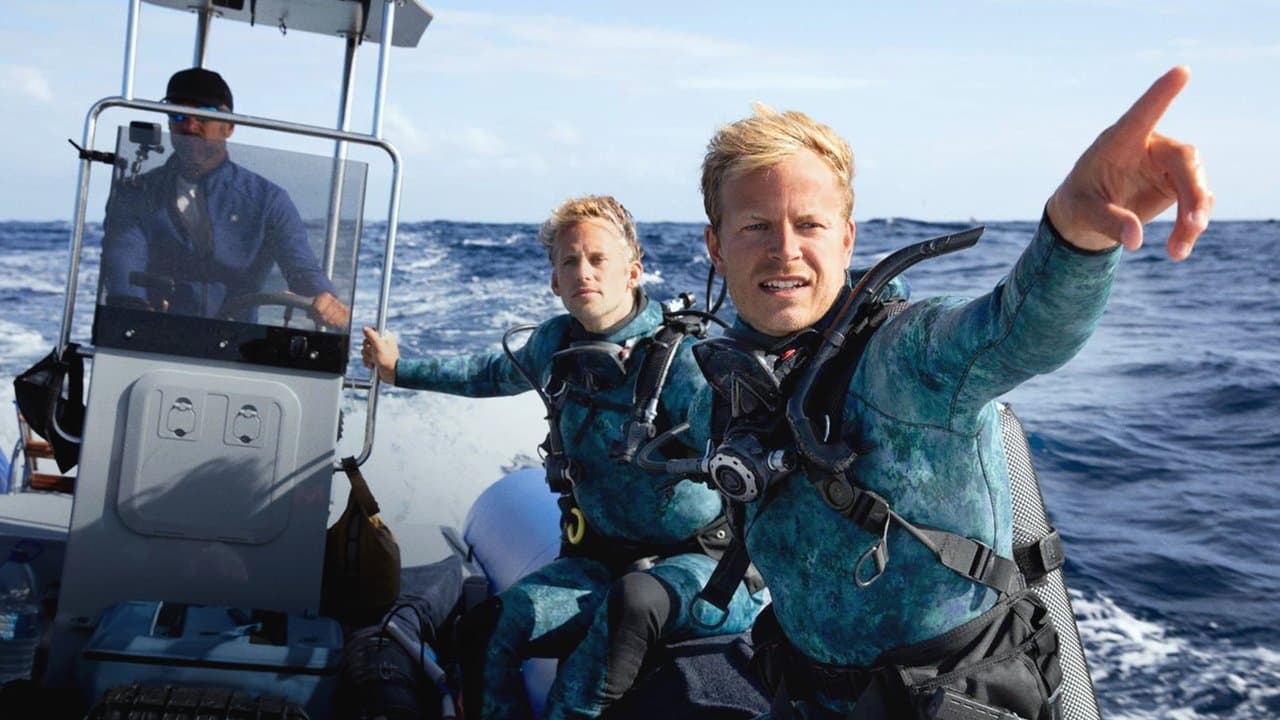 Delfines en primer plano con Bertie Gregory