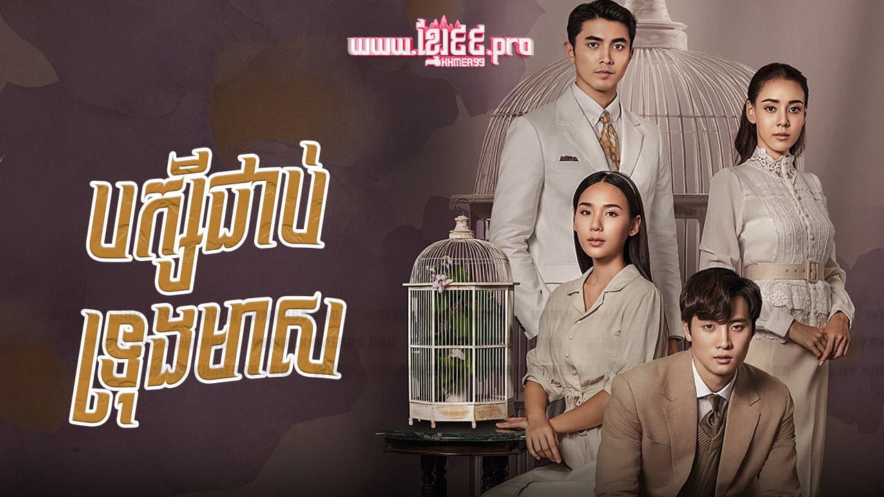 Krong Dok Sroi-Love in a cage