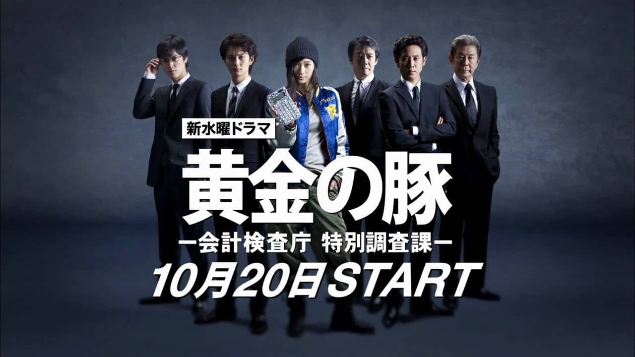 黄金の豚 -会計検査庁 特別調査課-