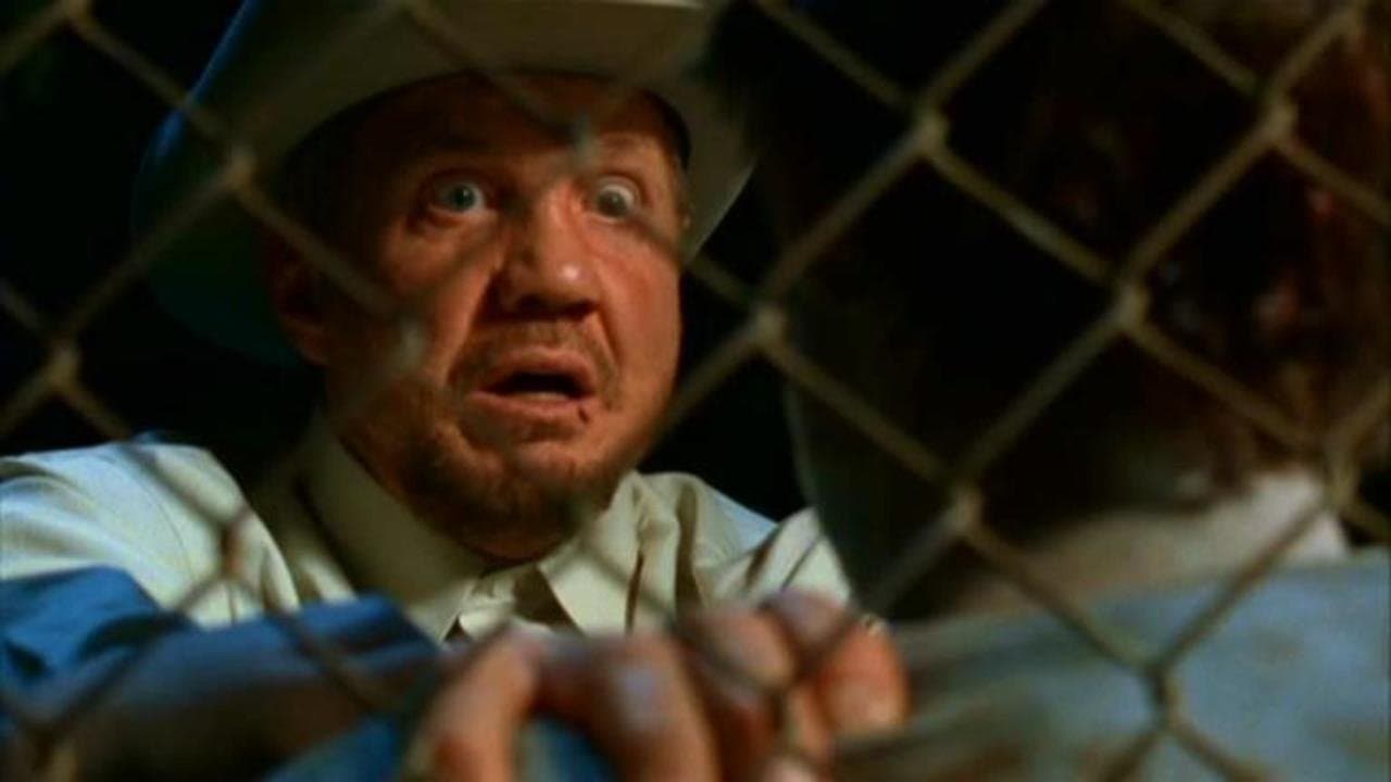 Visiones del más allá