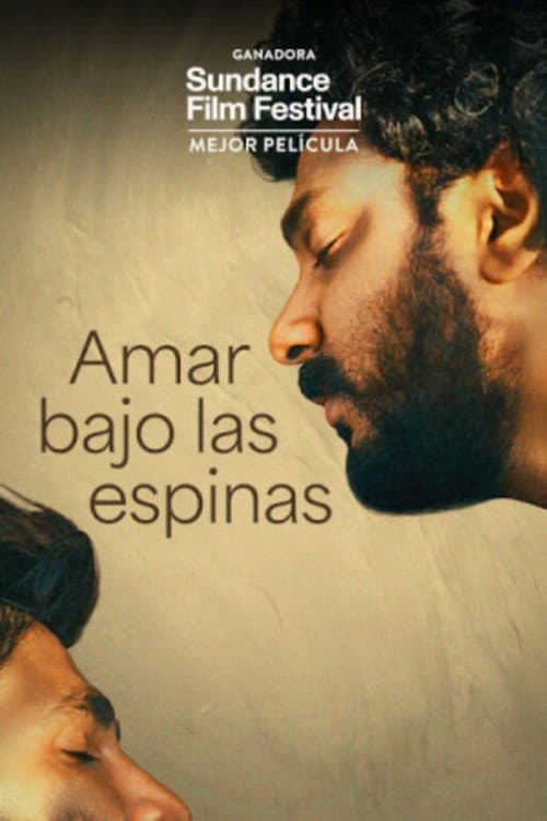 Amar bajo las espinas