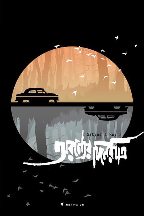 Días y noches en el bosque